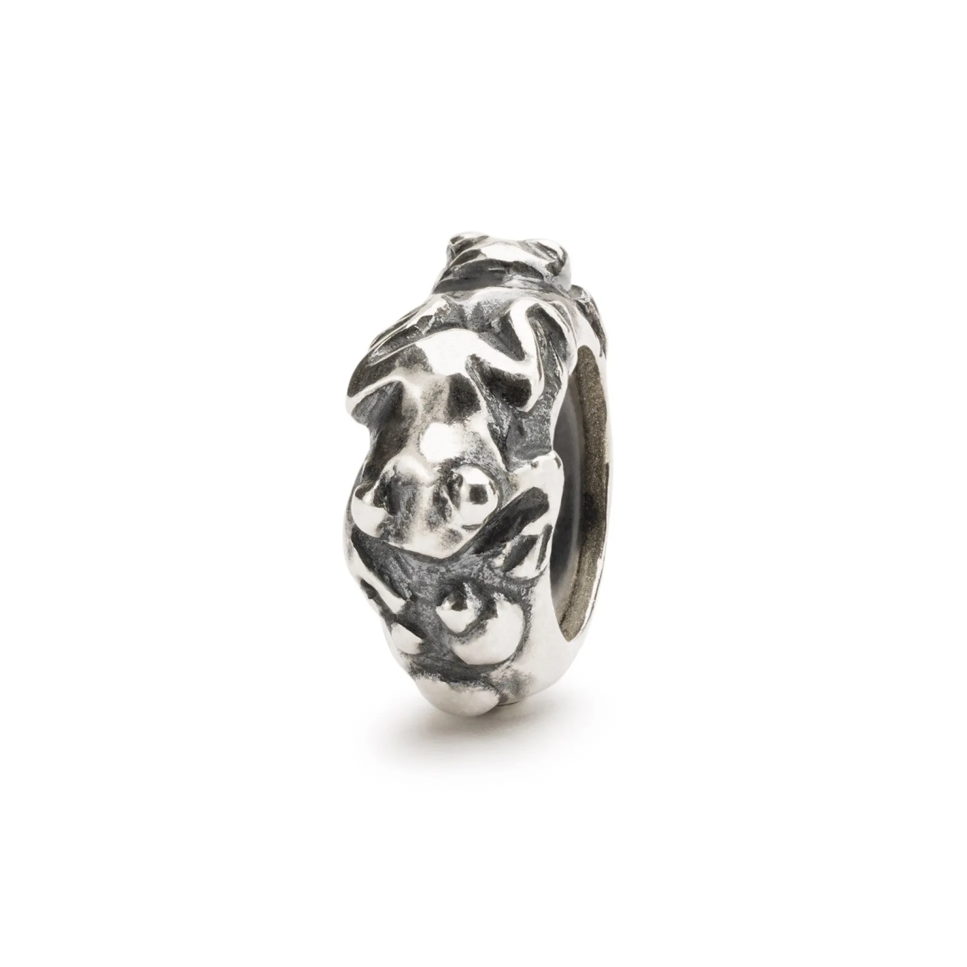 Trollbeads Spacers*Evolution Spacer